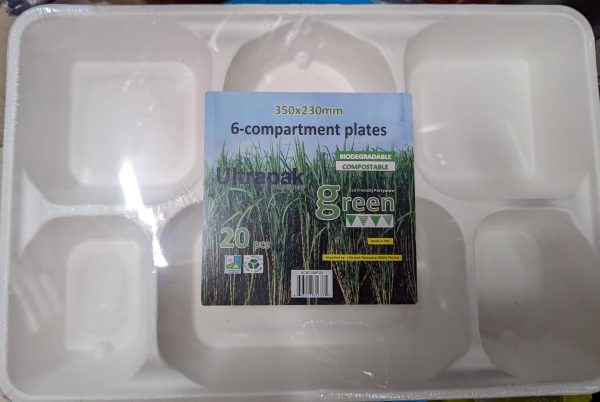 6 Compartment Plate